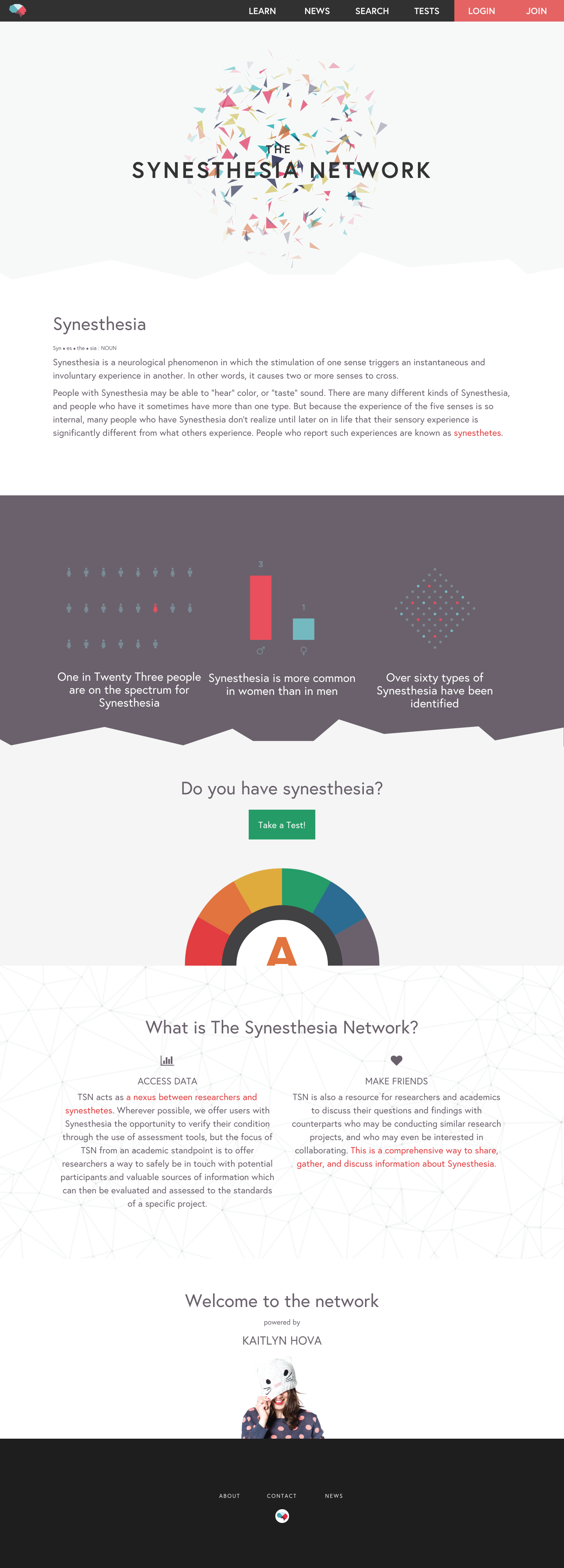 The Synesthesia Netork snapshot